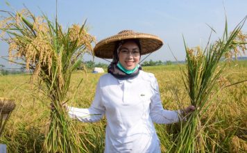 Panen Raya di Tengah Pandemi Covid-19, Pemkab Purwakarta Pastikan Pemenuhan Kebutuhan Pangan