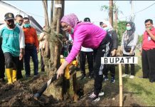 Pemkab Purwakarta Gelar Mitembeyan Tanam ‘Pohon Lame’ Dalam Peringati Hari Tanam Pohon Sedunia