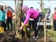 Pemkab Purwakarta Gelar Mitembeyan Tanam ‘Pohon Lame’ Dalam Peringati Hari Tanam Pohon Sedunia