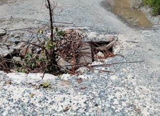 Waduh..Akses Jalan Sukadana- Siduk Kabupaten Kayong Utara, Seperti Kumbangan Kerbau