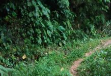 Warga Cihurip Keluhkan Kondisi Jalan Rusak Parah, Puluhan Tahun Oknum Pemerintah Tutup Mata