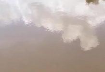 ‘’Bupati Ta Bertindak’’ Sungai Teluk Keluang Pesaguan Tercemar Limbah Merkuri Beracun