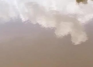 ‘’Bupati Ta Bertindak’’ Sungai Teluk Keluang Pesaguan Tercemar Limbah Merkuri Beracun