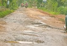Miris! Sepanjang Jalan Sukoharjo Banyumas Kabupaten Pringsewu,Seperti Kubangan Kerbau