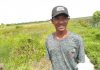 Adanya Kegiatan Pengalian Lahan Rawa di Pertanian Berdampak Baik Untuk Masyarakat Desa Satai Lestari Kec. Tanjung Satai Kab. Kayong