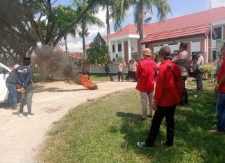 Aksi Unjuk Rasa LPMT SULTRA Ungkapan Kekecewaan Dan Penolakan Publik Atas Vonis Bebas Direktur PT.DMS 77 Terkait Kasus Perambahan Hutan Lindung