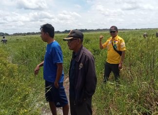 Jumadi : Di Duga Inspektorat Dan BPK RI Masuk Angin