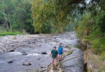 DEBIT AIR IRIGASI DI PEKALONGAN MULAI MENYUSUT DAMPAK EL NINO