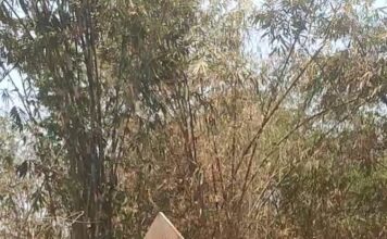 Patut Dipertanyakan Lurah Sukasari Tidak Tahu Ada Galian Tanah Diduga Ilegal di Lahan Pemakaman Umum