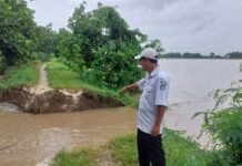 Tanggul Penahan Bengawan Solo di Lamongan Jebol