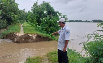 Tanggul Penahan Bengawan Solo di Lamongan Jebol