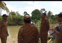 Pemerintah Kabupaten Muratara kunjungan dan peninjauan kembali , jembatan yang putus akibat banjir.