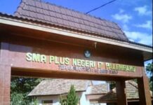 Inilah Sistem PPDB Di SMA Negeri 17 Plus Palembang Tahun 2024
