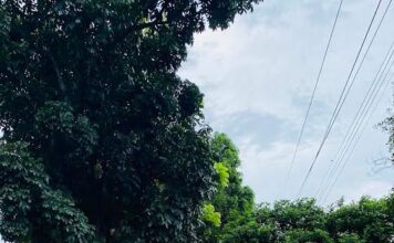 Masyarakat Plered turut Serta membantu dalam kegiatan Pembangunan jalan Lingkungan
