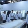 IMG-20240605-WA0017