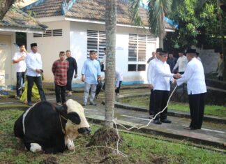 Kerahkan Personel Bhabinkamtibmas, Polda Sumsel Bagikan Daging Kurban Hingga ke Masyarakat Pelosok.