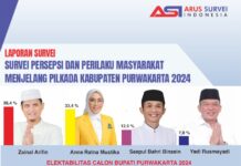 Arus Survey Indonesia: Elektabilitas Kang Ipin Lampaui Anne
