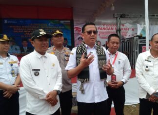Pj Bupati Banyuasin Launching Aplikasi Perencanaan Pembangunan di Desa Merah Mata