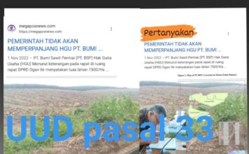 AMBRAN. SULAEMAN KEMENTRIAN PERTANIAN RI DIMINTAK TINJAU KEMBALI HGU PT. BUMI SAWIT PERMAI KAB.OGAN ILIR SUMSEL