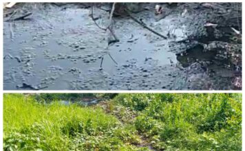Kasman Anggota DPR Muara Enim Menyewakan Rumah Yang Mengakibatkan Pencemaran Limbah