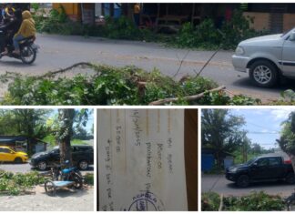 melakukan Pungli Terkait Pemangkasan Pohon di jalan Sisingamanggaraja .