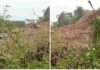 Aktivitas Galian Tanah di Purwakarta Diduga Ilegal, Melanggar Larangan Keras