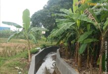 Warga Cigelam Apresiasi Program Pengerjaan Drainase oleh CV Sartika Jaya
