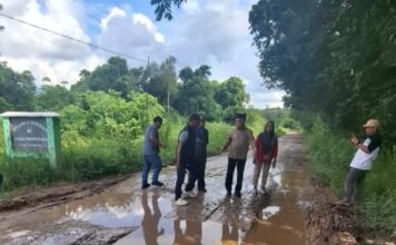 Wabup Ogan Ilir Tinjau Jalan Rusak yang Viral di Rengas Payaraman, Pastikan Segera Ditanggulangi