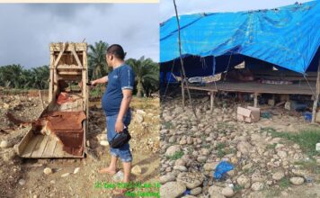 Tambang Emas Ilegal Menggila di Pasaman Barat: Tanah Adat Dirusak, Hukum Dibiarkan Lumpuh