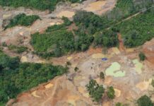 WALHI SUMUT Dukung Aparat Penegak Hukum Tindak Tegas Aktivitas Tambang Ilegal.