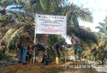 Tetap Panen Di Lahan Negara, Masyarakat Sesalkan Sikap PT Barapala