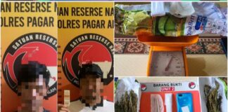 Satresnarkoba Polres Pagar Alam Tangkap Dua Pelaku Pengedar Ganja.