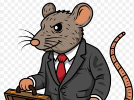 Pertanggungjawaban Pengeluaran 21 SKPD Pemkab Muara Enim BerAura Abu-Abu