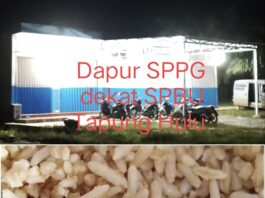 Potret Buram MBG di Kampar: Nasi Goreng Berbelatung ‘Dihidangkan’ ke Siswa SDN 016 Kusau Makmur