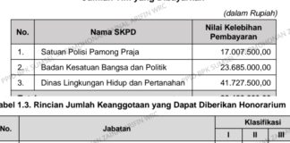 Honor Berjamaah di Muratara? Audit Ungkap Pembayaran Ratusan Juta Tak Sesuai Ketentuan