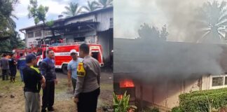 Gudang Mekanik PTPN Kebun Teh di Gunung Dempo Pagar Alam Terbakar, Kerugian Capai Rp:50 Juta.