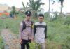 Dukung Ketahanan Pangan Bhabinkamtibmas Polsek Pagar Alam Utara Lakukan Monitoring Lahan.