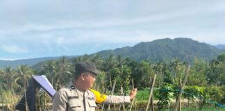 Perkuat Ketahanan Pangan, Polsek Pagar Alam Selatan Monitoring Lahan Cabai dan Tomat.