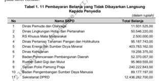 BPK Kuliti Pengelolaan Keuangan Sumsel: Aturan Longgar, Dana Belanja Puluhan Miliar Tak Langsung ke Penyedia