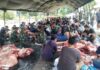 Kodam II/Sriwijaya Kurbankan Belasan Sapi Berbobot Super pada Iduladha 1447 H