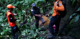 Evakuasi Penemuan Mayat Oleh Polsek Dempo Selatan Bersama BPBD dan Basarnas.