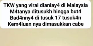 PROF DR SUTAN NASOMAL MENYESALKAN TENAGA KERJA ART DI ANIAYA DI MALAYSIA SANGAT KEJI DI LUAR BATAS PRIKEMANUSIAAN.