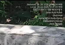 Hampir Sepanjang Bangunan Retak, Proyek Lining Saluran BBWS Citanduy di Desa Bumireja Jadi Sorotan