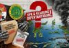 Apakah Negara Kalah oleh Kekuasaan di Banggai Laut atau Ada ‘Tangan Baja’ yang Membentengi Laporan Korupsi?