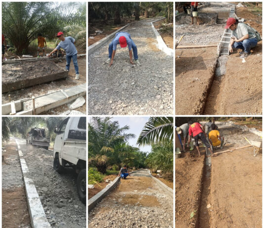 PEMBANGUNAN JALAN USAHA PERKEBUNAN DS PAGAR JATI KIMSEL LAHAT DIDUGA MATERIAL TIDAK SESUAI SPEK TERINDIKASI AKAN JADI SANTAPAN KORUPTOR