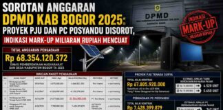 Sorotan Anggaran DPMD Kab Bogor 2025: Proyek PJU dan PC Posyandu Disorot, Indikasi Mark-Up Miliaran Rupiah Mencuat