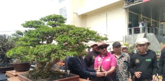 Kombes Pol Tri Martono Bawa PPBl Palembang Naik Kelas, Pameran 261 Bonsai Jad Pemasaran Menuju Papnas 2027