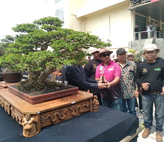 Kombes Pol Tri Martono Bawa PPBl Palembang Naik Kelas, Pameran 261 Bonsai Jad Pemasaran Menuju Papnas 2027