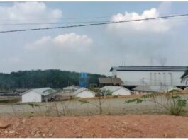 Bau Busuk Pabrik Kelapa Sawit Mitra Muratara Sejahtera (MMS) Resahkan Warga Dan Pengguna Jalan Lintas Sumatera