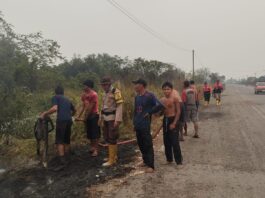 Respons Laporan Warga, Polisi dan MPA Padamkan Karhutla di Sungai Pinang